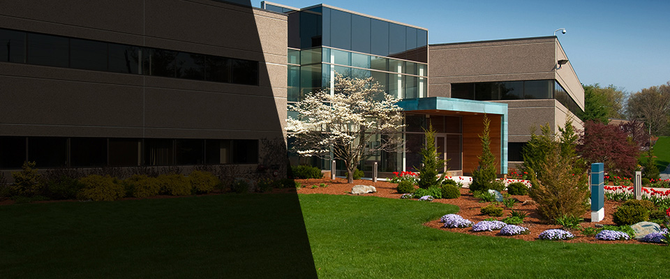 Williamsburg Landscapers